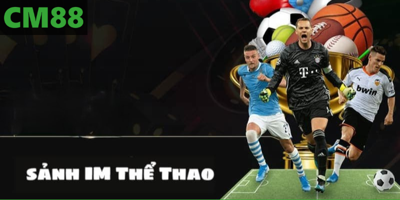 Sơ lược về IM thể thao